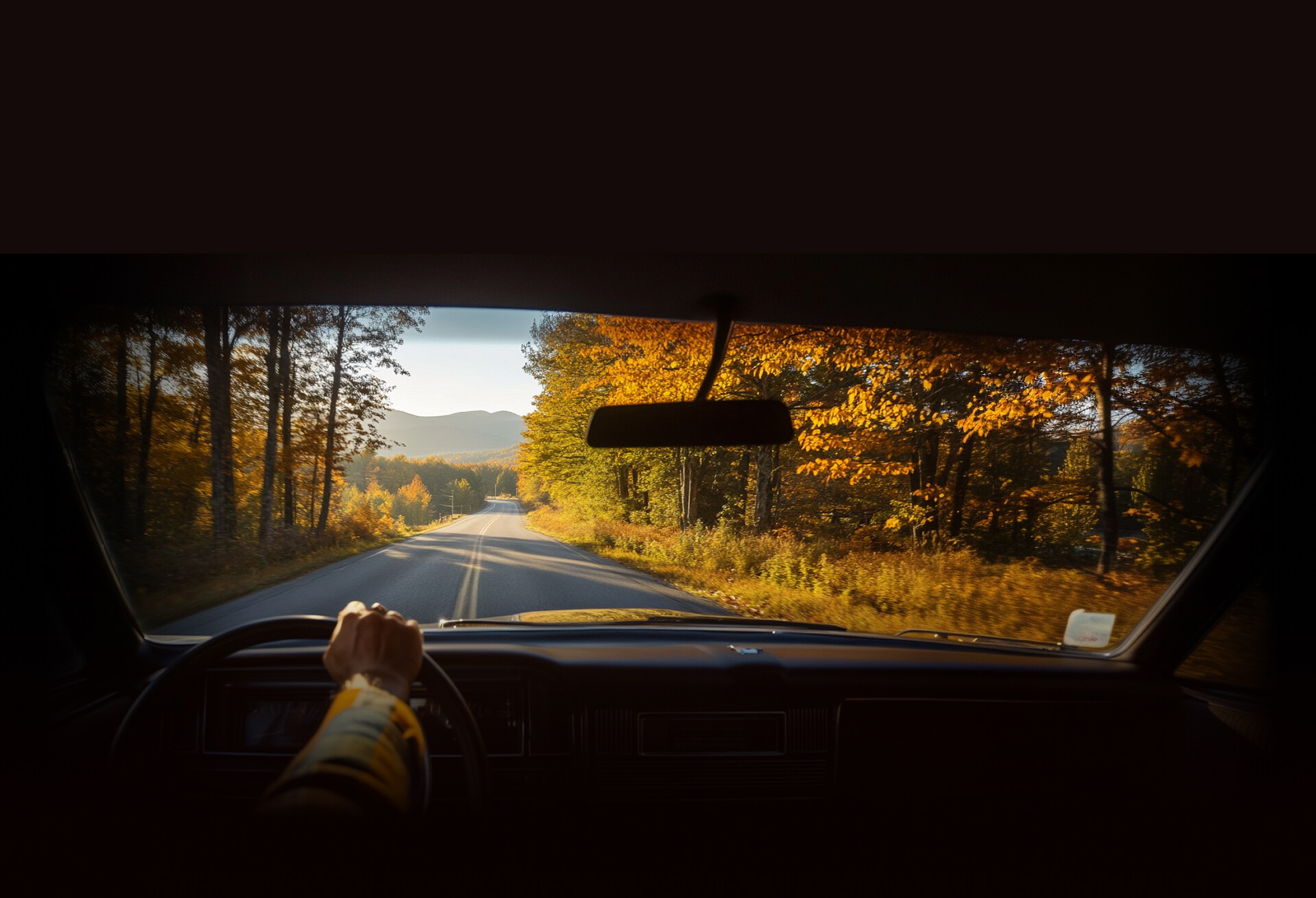 e1_banner01.jpg