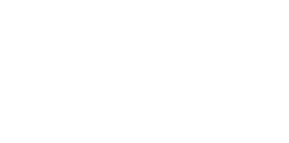logo16.png